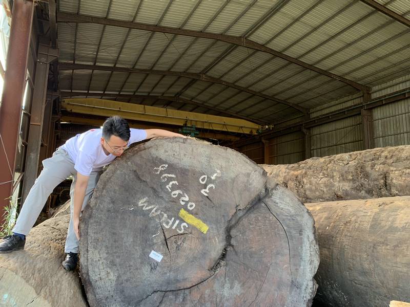 图片[23]-巴花大板 - 如意-如意